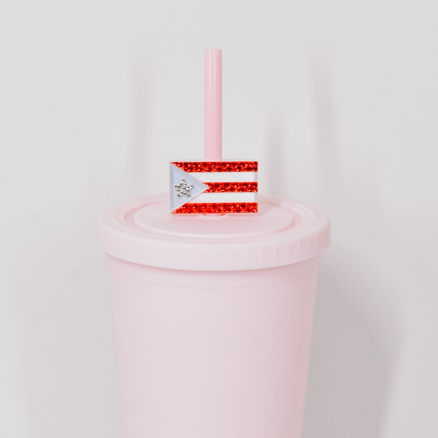 PR Flag Straw Charm