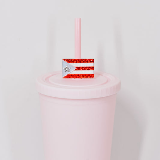 PR Flag Straw Charm