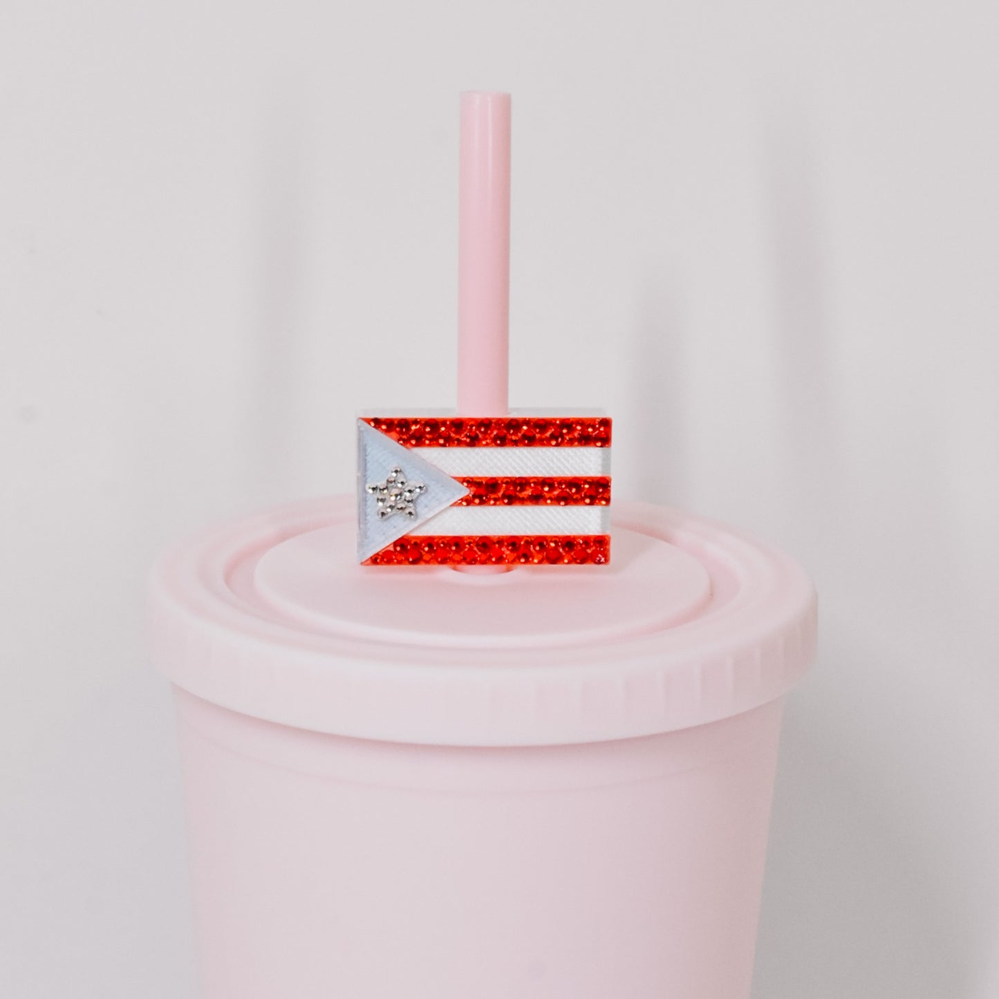 PR Flag Straw Charm