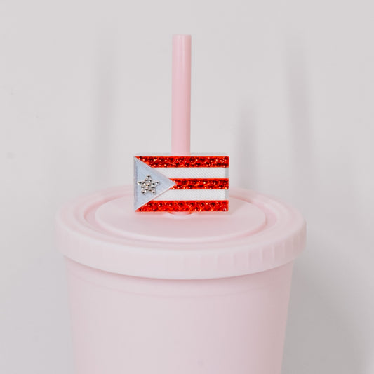 PR Flag Straw Charm
