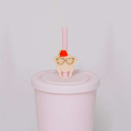 Friendly Turkey Straw Charm