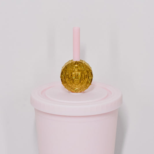 Pirate Coin Straw Charm